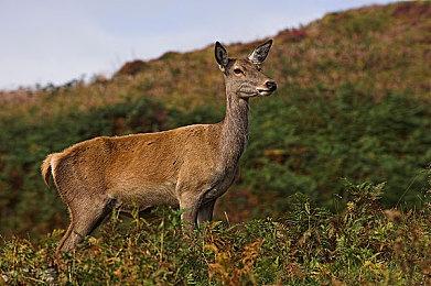 《尘路之旅》（Dustborn）现已登陆Steam平台！